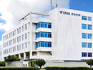 成都服務(wù)器托管/電信棕樹機房